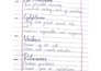 neat hand writting service assignments, notes and more